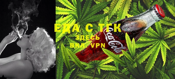 ешки Аркадак