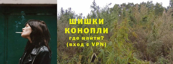 ешки Аркадак
