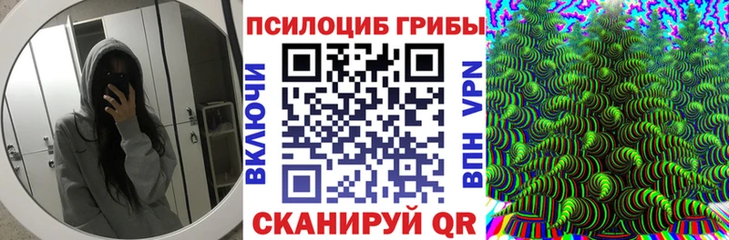 хочу   блэк спрут зеркало  Галлюциногенные грибы Psilocybe  Таруса 